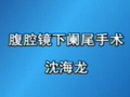 腹腔镜下阑尾手术