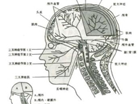 头痛