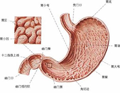 胃炎