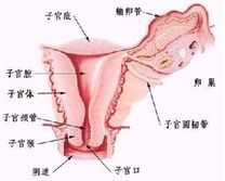 闭经